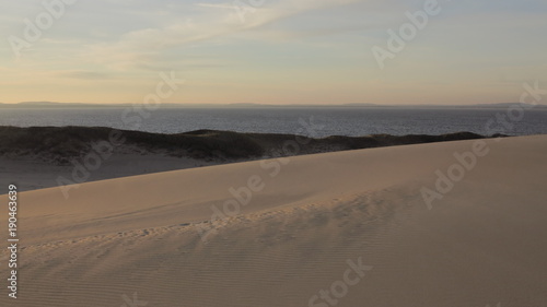 Dune seaside landscape