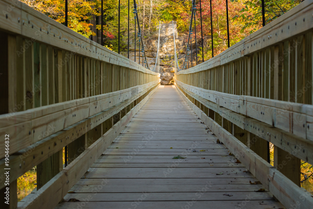 Nature Bridge