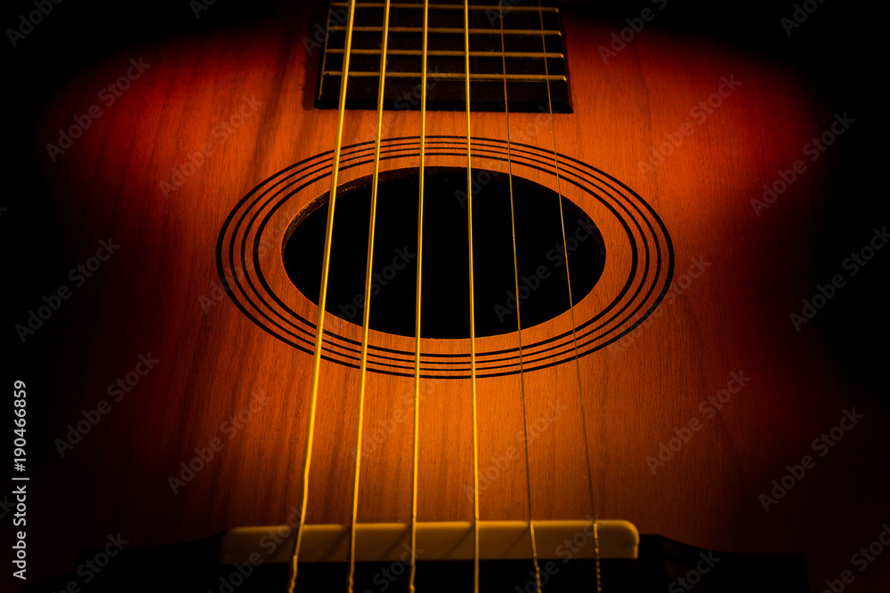Obraz premium Guitar Portrait
