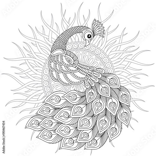 Peacock in zentangle style. Adult antistress coloring page.