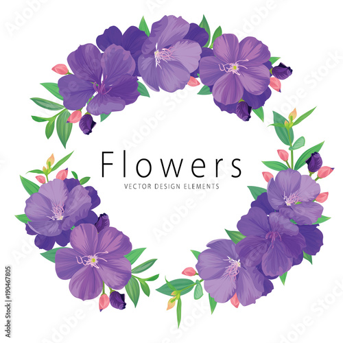 Floral frame with purple princess flower or tibouchina urvilleana and leaf on white background. Vector set of blooming floral for wedding invitations and greeting card design.