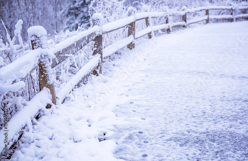Wallpaper Mural Minimalist abstract background with the fence covered in show. Vanishing point fence Torontodigital.ca