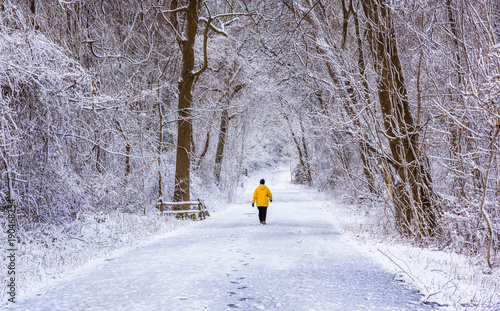 Beautiful winter scenery with the snow covered trees at Highlands Woods Park, New Jersey