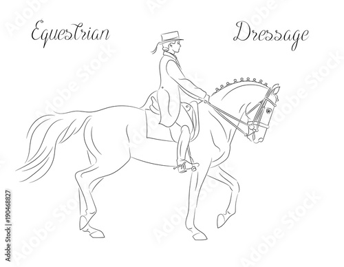 Dressage horse with rider performing piaffe  equestrian sport.  Black and white vector image  side view picture. Female rider performing dressage movements. 