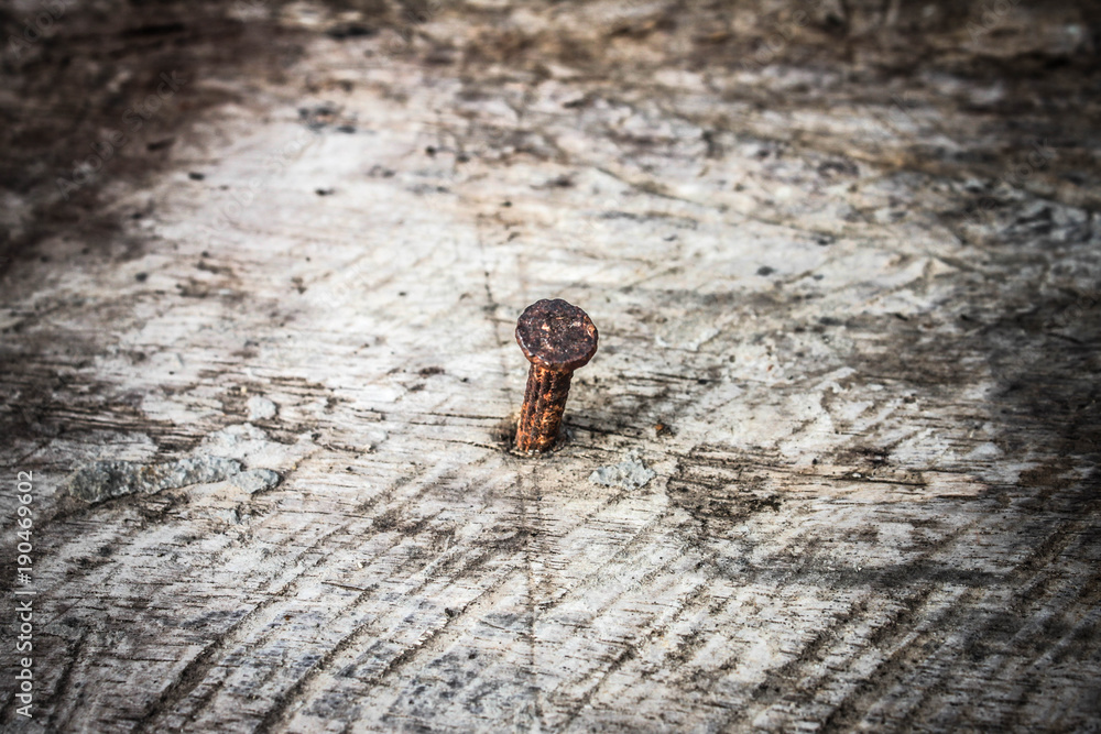 Rusty nail in old wooden board Rusty nail in old wooden board