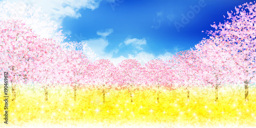 桜　春　花　背景