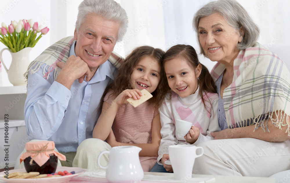 Portrait of a happy senior couple with grandchildren drinking te