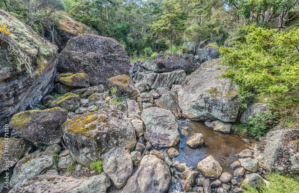 Wairere Bouldrers, Horeke, New Zealand