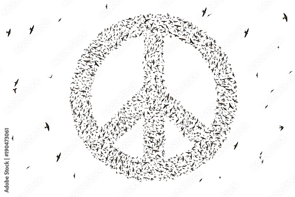 Silhouette of birds flying in peace symbol formation isolated on white background. Silhouette of birds flying in peace symbol formation isolated on white background.