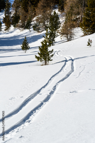 Wallpaper Mural Track in the snow at Zirbitzkogel, Austria  Torontodigital.ca