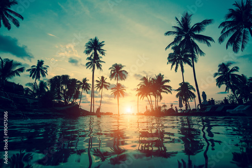 Fototapeta Naklejka Na Ścianę i Meble -  Palm trees silhouettes at tropical coast during an amazing sunset.