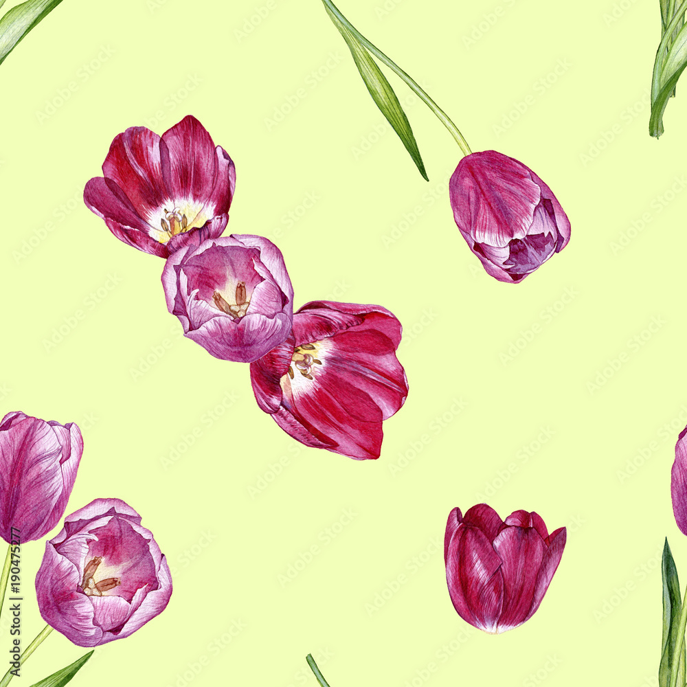 hand drawn watercolor seamless pattern with tulips hand drawn watercolor seamless pattern with tulips