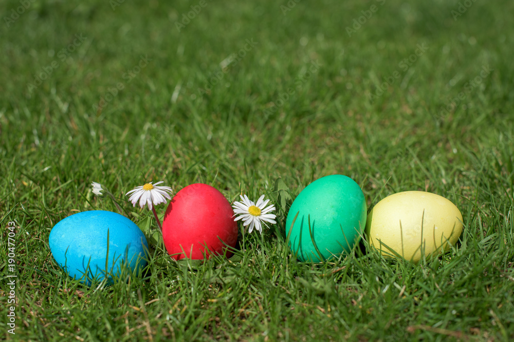 Easter color eggs