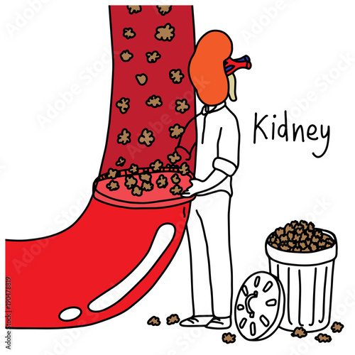 metaphor function of human kidney to filter wastes and excess fluids from your blood vector illustration sketch hand drawn with black lines, isolated on white background. Education Medical concept.