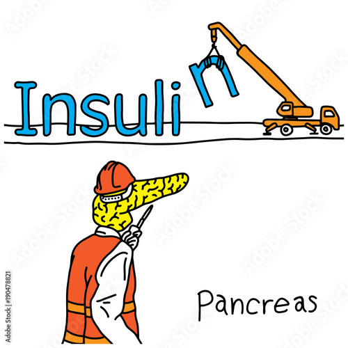 metaphor function of human pancreas is to produce insulin hormone vector illustration sketch hand drawn with black lines, isolated on white background. Education Medical concept.