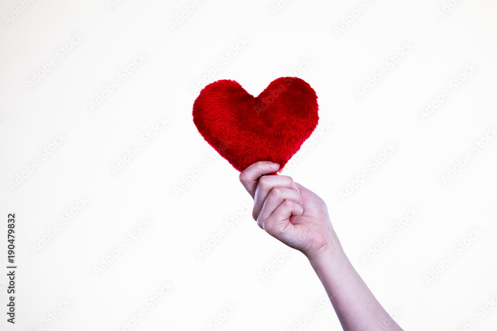 Person holding small furry heart, valentine gift Person holding small furry heart, valentine gift