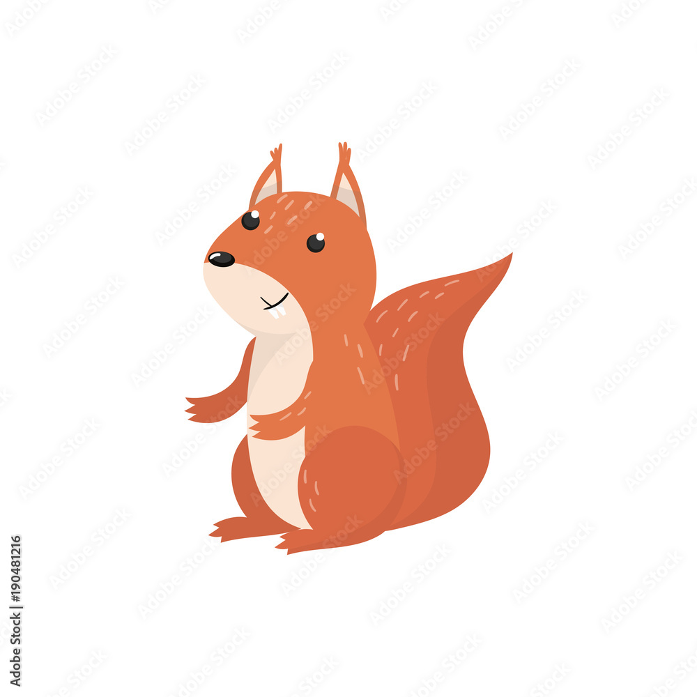 Cute squirrel woodland cartoon animal vector Illustration