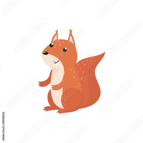 Cute squirrel woodland cartoon animal vector Illustration