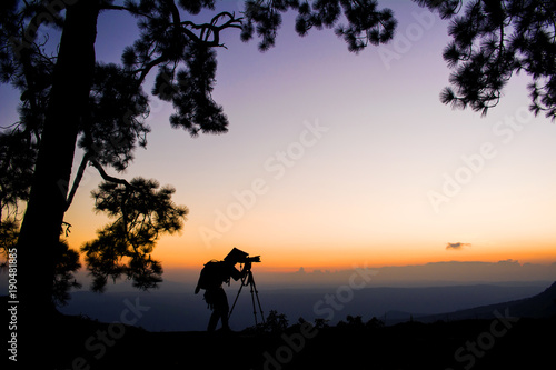 Silhouette photographer of pine trees forest with light during sunset  winter season
