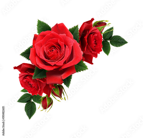 Red rose flowers in corner ...