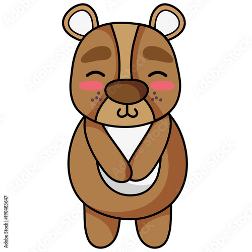 cute and shy bear wild animal