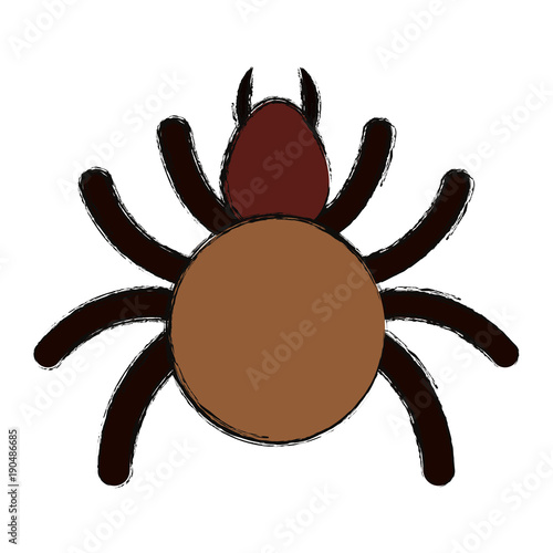 tick insect icon