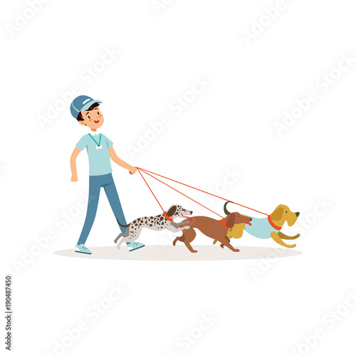 Smiling boy walking with group of different breeds dogs. Young volunteer at work. Cartoon kid character in blue jeans, t-shirt and cap. Flat vector illustration isolated on white