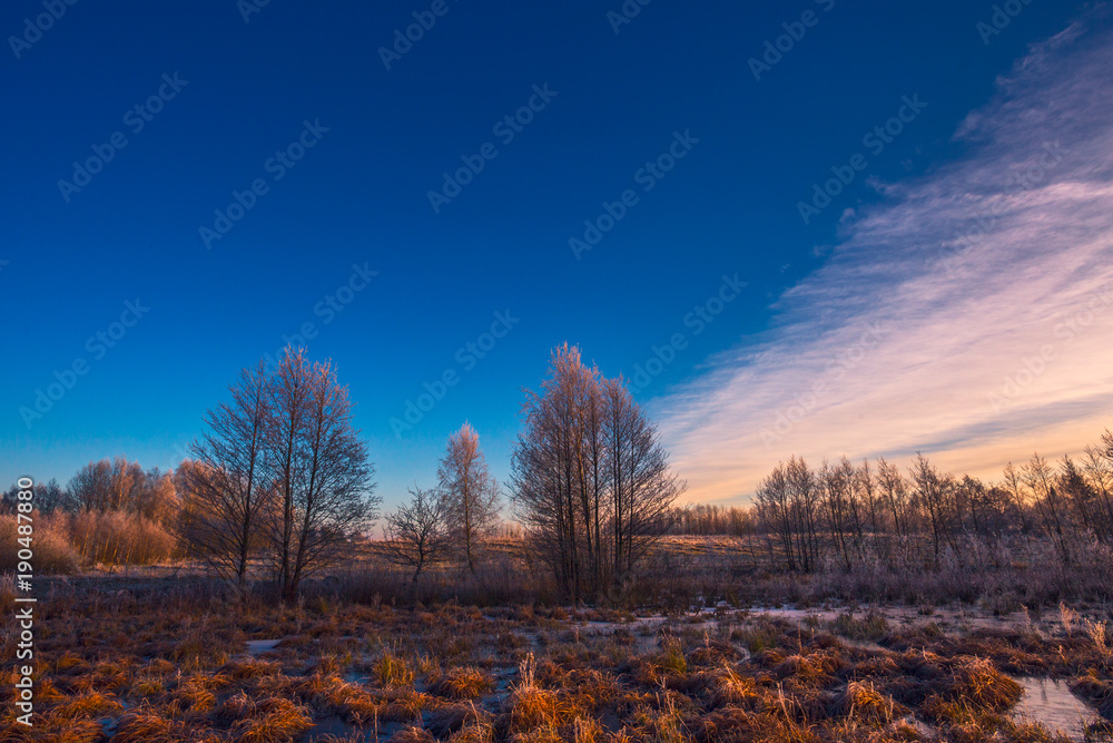 Evening landscape with frozen field and trees at winter Evening landscape with frozen field and trees at winter