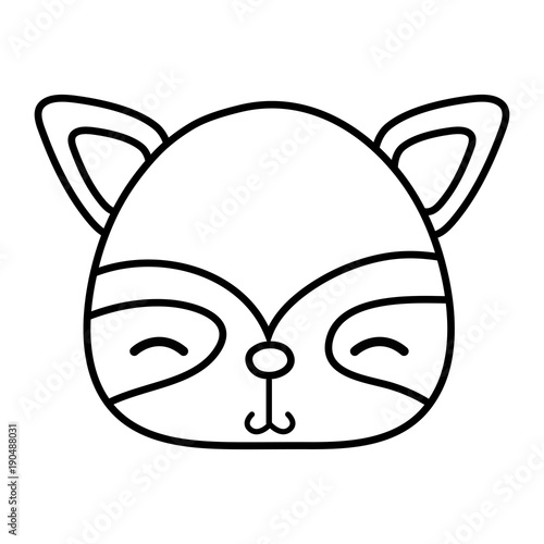 line shy raccoon head wild animal
