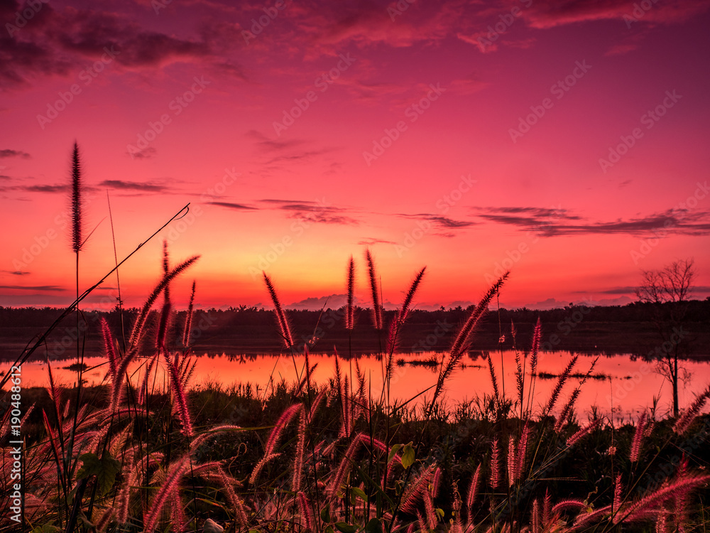 twilight over the lake with grass flower foreground