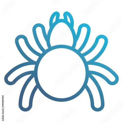 tick insect icon