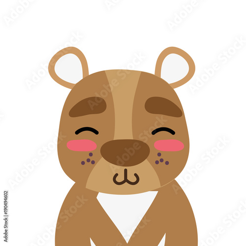 colorful adorable and shy bear wild animal