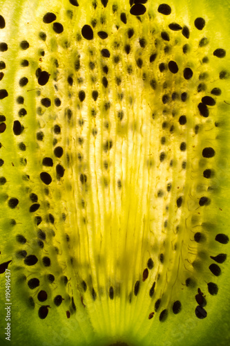 Texture of cut kiwi through which light passes, close-up