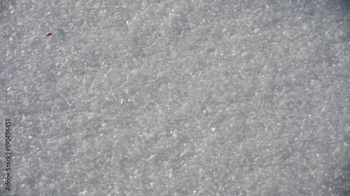 Wallpaper Mural Snow and Shadow with glare Torontodigital.ca