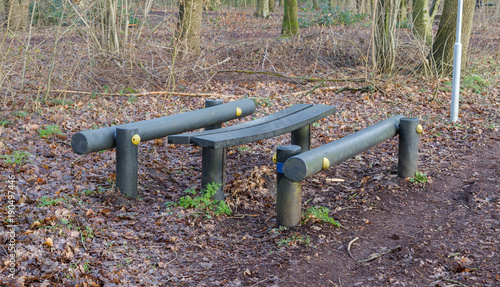 Fitness equipment in a forest - One stage of many