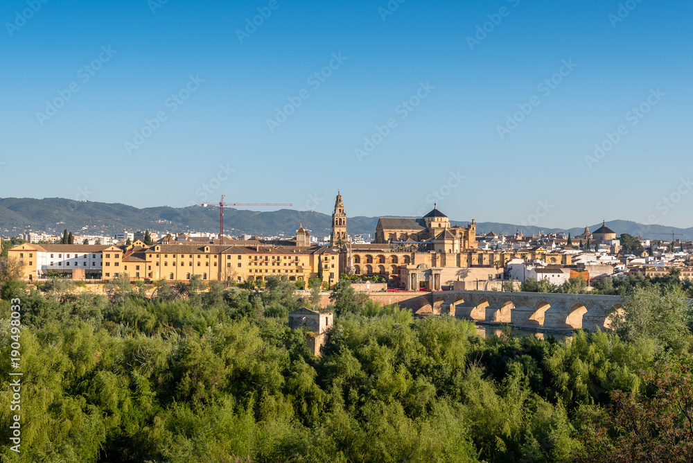 View of the Roman Bridge and Mosque Cathedral in Cordoba