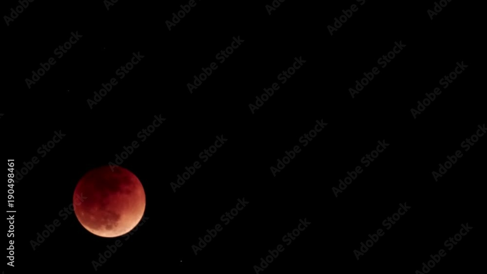 Lunar eclipse. The big red moon in the black sky. 31.01.18. Lunar eclipse 2018. the moon becomes red. View from the territory of Western Siberia.