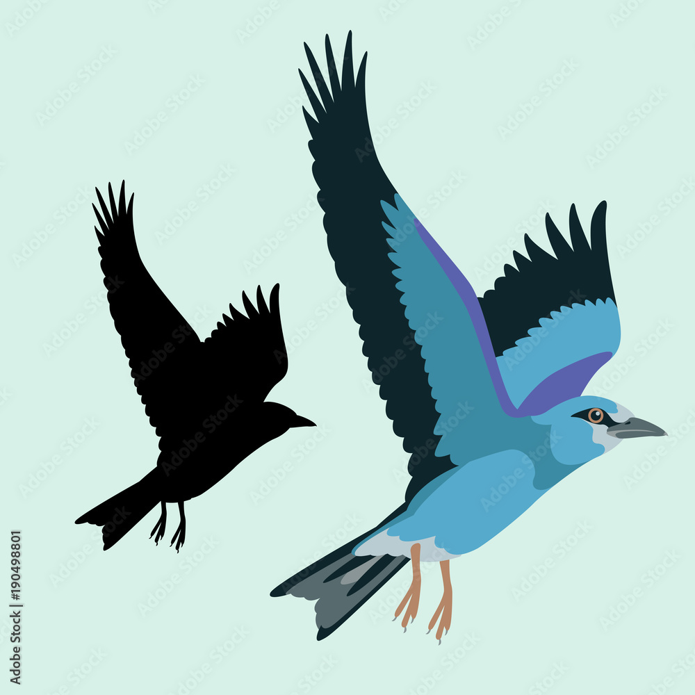 Fototapeta premium roller bird vector illustration flat style black silhouette