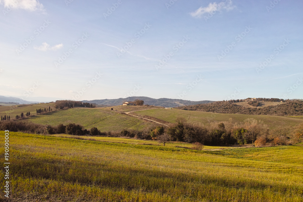 very nice view of tuscany meadow