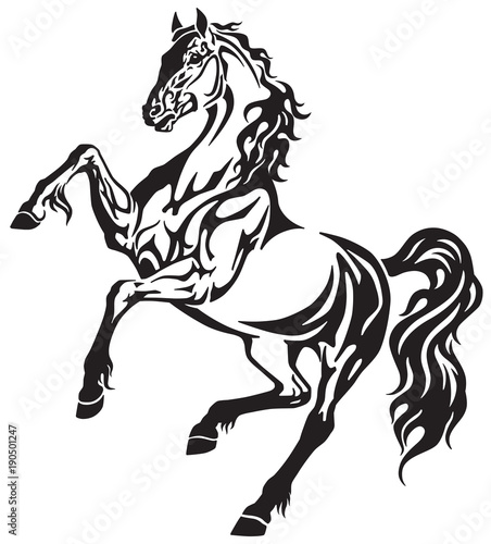 The horse stallion in the rearing free movement . Elegant tribal tattoo style black and white vector illustration 