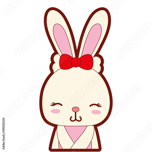 line color adorable and shy rabbit female wild animal