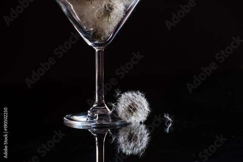 Fototapeta Naklejka Na Ścianę i Meble -  Dark photo with white fluffy dandelions on black. Graceful leg of a glass and fluff.
