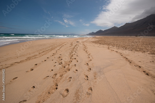 Footprints on the sand. Cofete beach  Fuerteventura  Canary Islands  Spain.