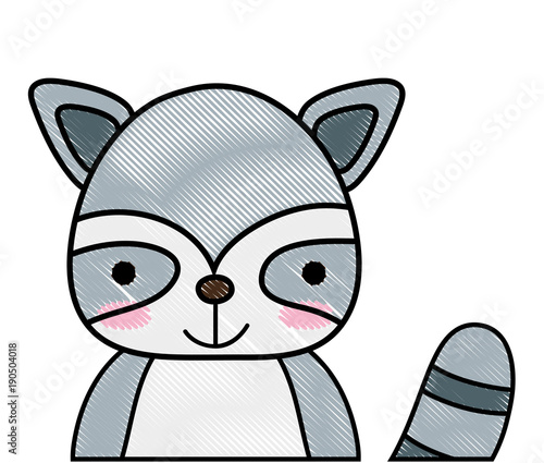 grated adorable and happy raccoon wild animal