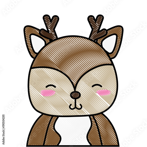 grated adorable and shy deer wild animal