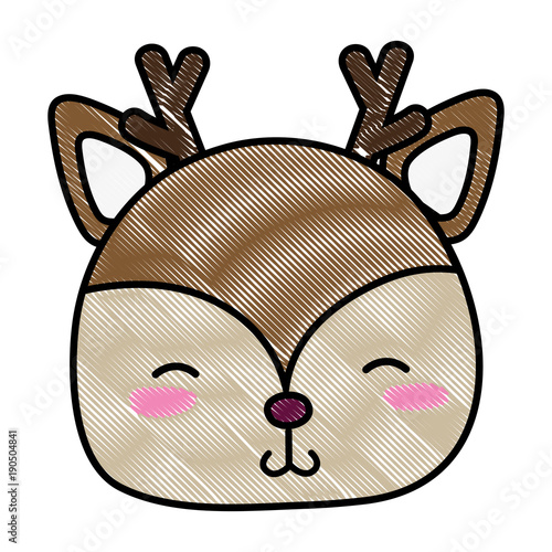 grated shy deer head wild animal