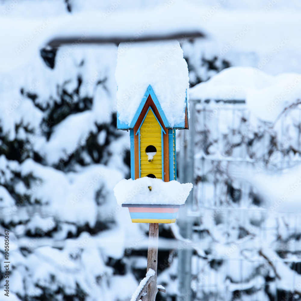 Little bird house in the snow Little bird house in the snow
