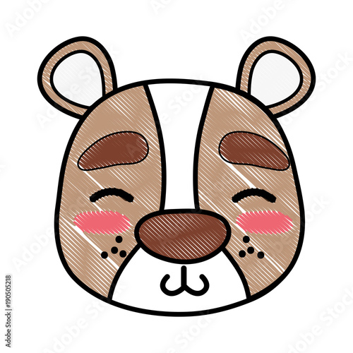 grated shy bear head wild animal
