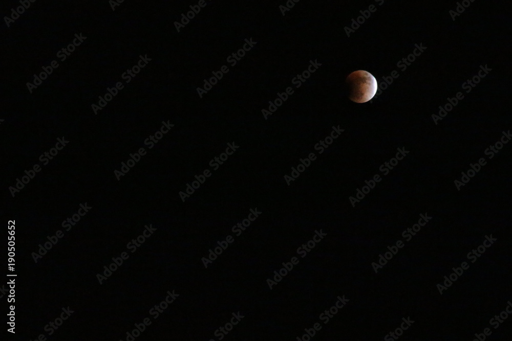 Moon, background, sky, black, space, dark, night, nature, lunar, astronomy, detail, science, planet, round, white, astronomical, surface, moonlight, crater, full, sphere, astronomy, light, isolated, e