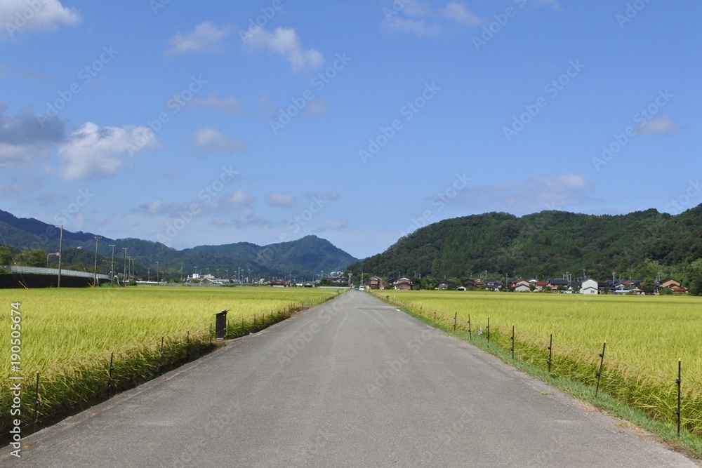 a straight road in Japan